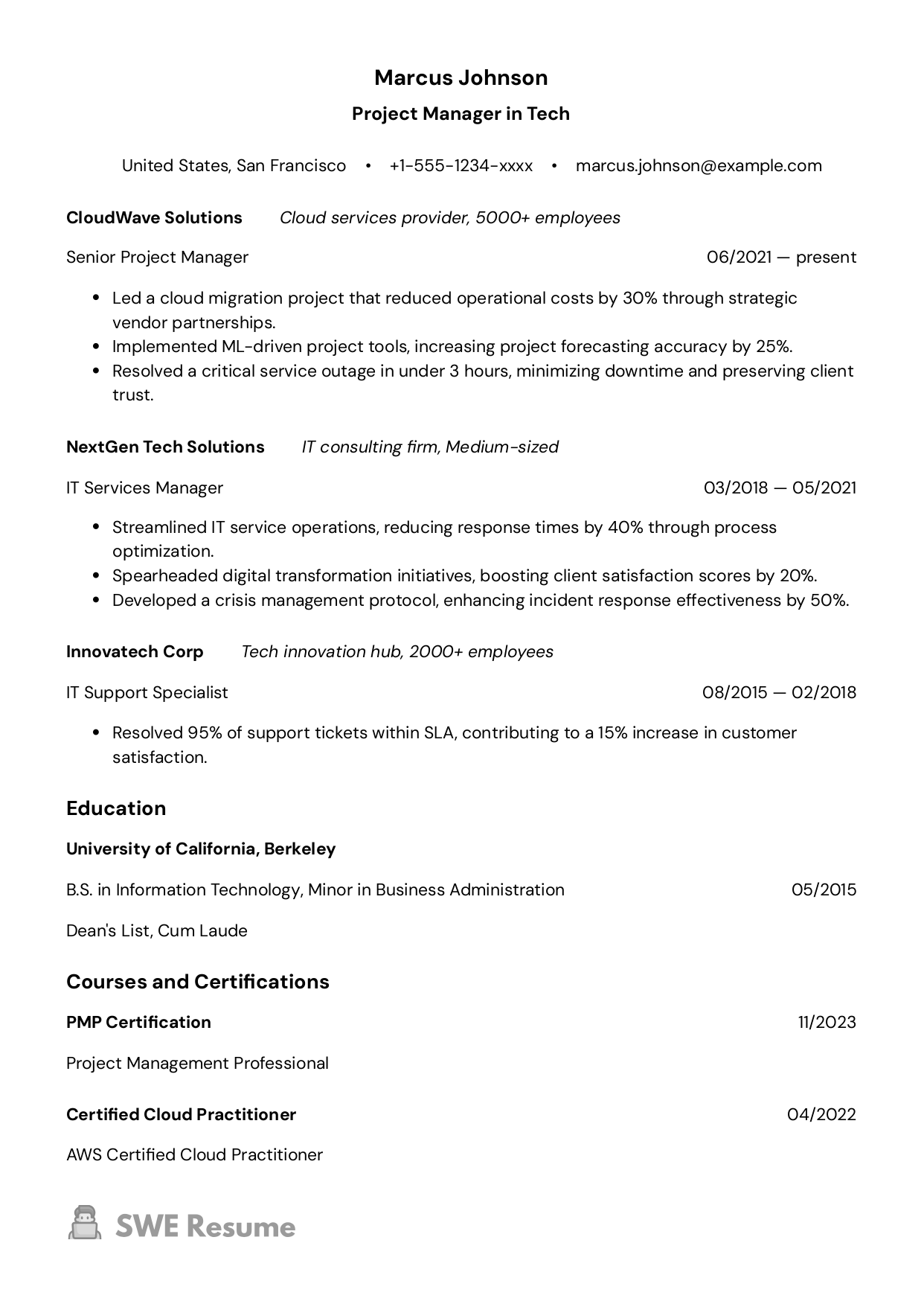 Senior Tech Project Manager resume